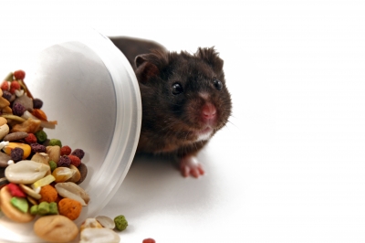 Many office workers will often snack on the go, or eat food at their computers or desks. This means more crumbs, attracting more pests.